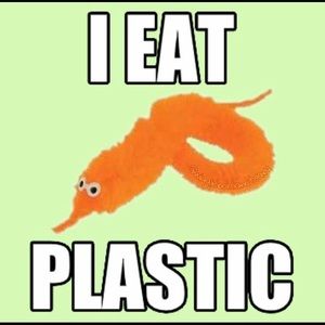 Meet your Posher, Kara